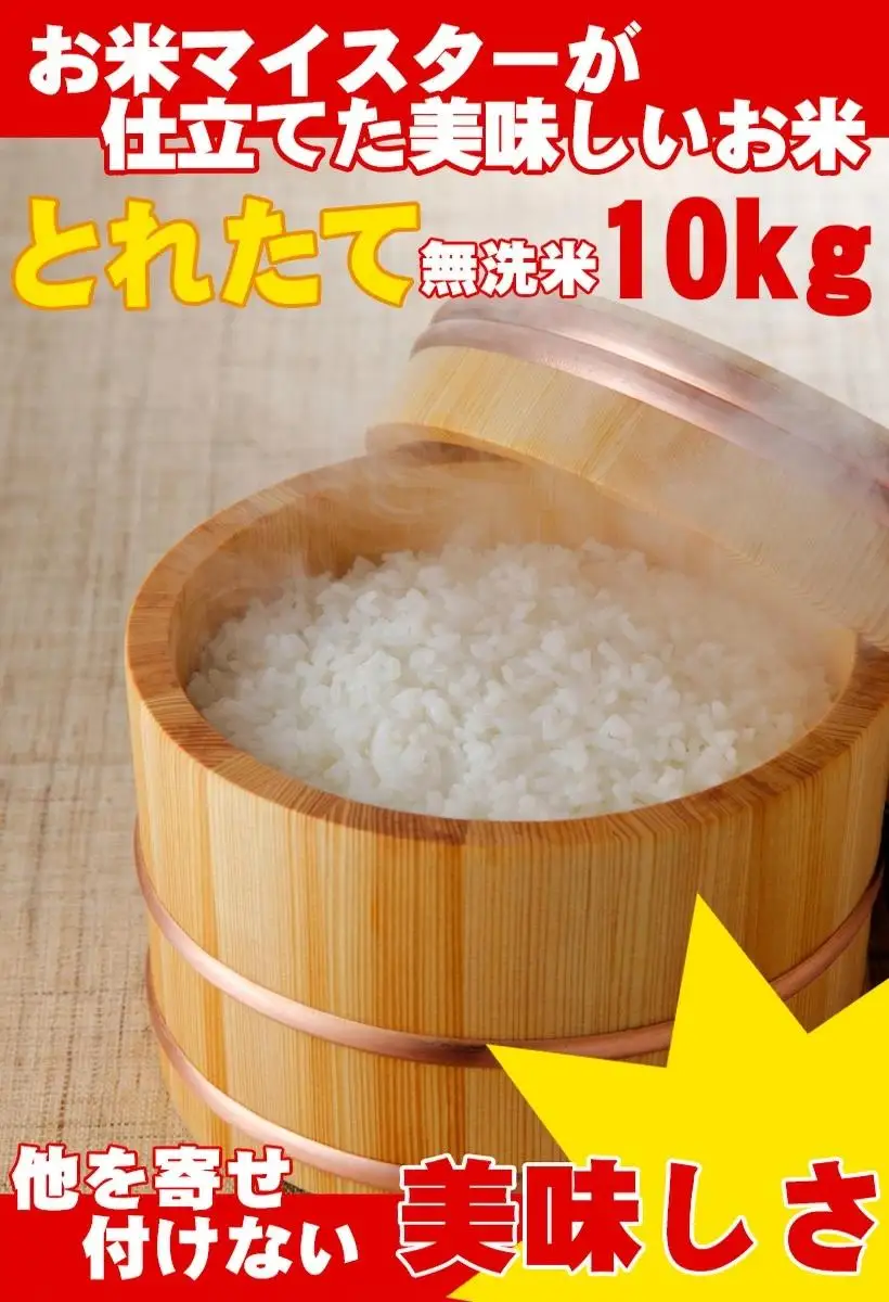 無洗米　川越でとれたお米　10kg ／ 白米 埼玉県 こしひかり 彩のきずな主体のブレンド米
