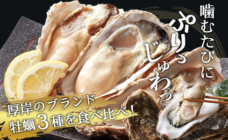 牡蠣 3種 食べ比べ セット 厚岸オイスターハーフ ★オールスターズ 生食 牡蠣