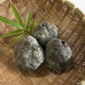 国府町産 山の芋 2kg