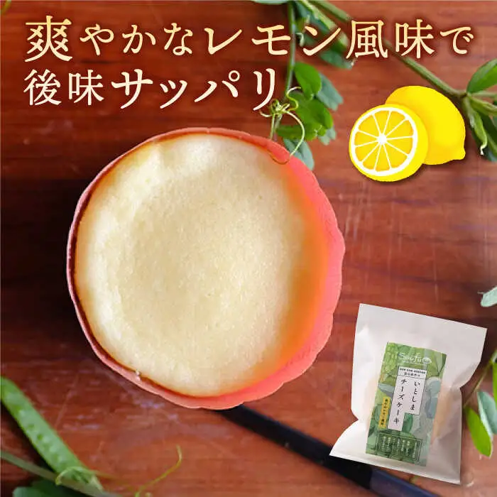 【全6回定期便】無添加チーズのいとしまチーズケーキ【5個入り】糸島市 /  糸島手作り工房 爽風 [ATA006]