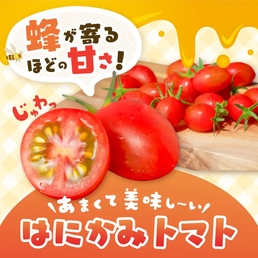 太陽の恵みをたっぷり浴びた はにかみトマト 約1kg 