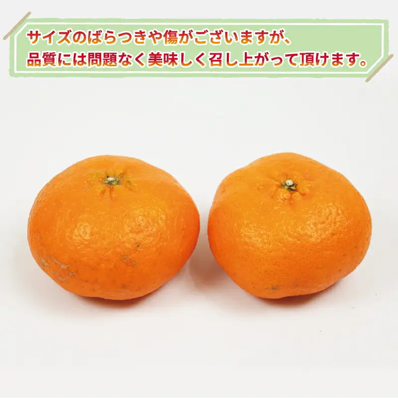 訳あり 甘平 5kg 甘平 大田農園 B012-121002