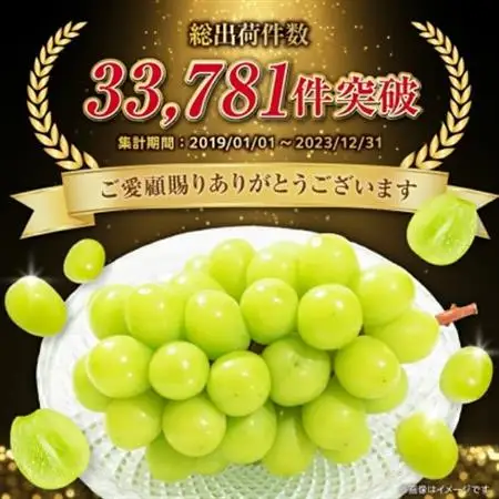 2026年発送 フルーツ王国山梨 シャインマスカット 2房 (1.2kg以上) プレミアム【配送不可地域：離島】【1105033】