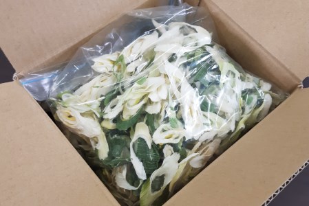 乾燥ネギ(エアードライ製法) 150g 青森県 つがる市産 [0914]