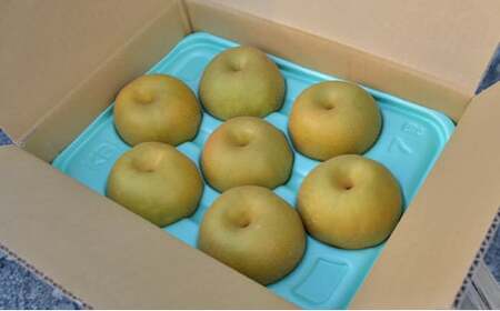 【訳アリ！先行予約】小林果樹園の梨 6～10玉 約3kg　※2026年9月～発送