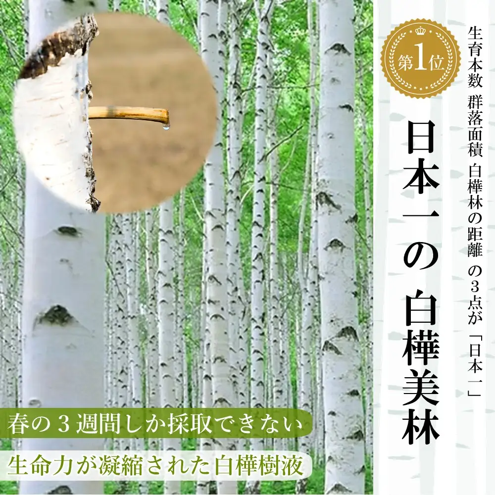 白樺樹液と肌 オールインワンジェル200ｇ