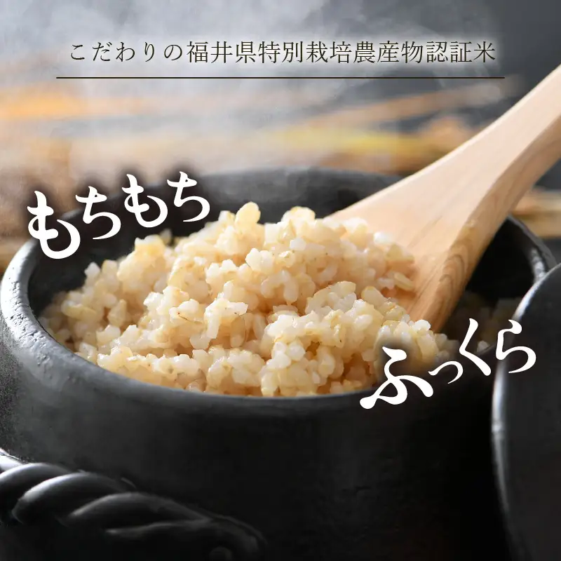 【先行予約】【令和8年産 新米】 ミルキークイーン 玄米 5kg 特別栽培米 農薬不使用 化学肥料不使用 ／ 高品質 鮮度抜群 福井県産 ブランド米 ※2026年10月上旬以降順次発送 [aw063-a007]