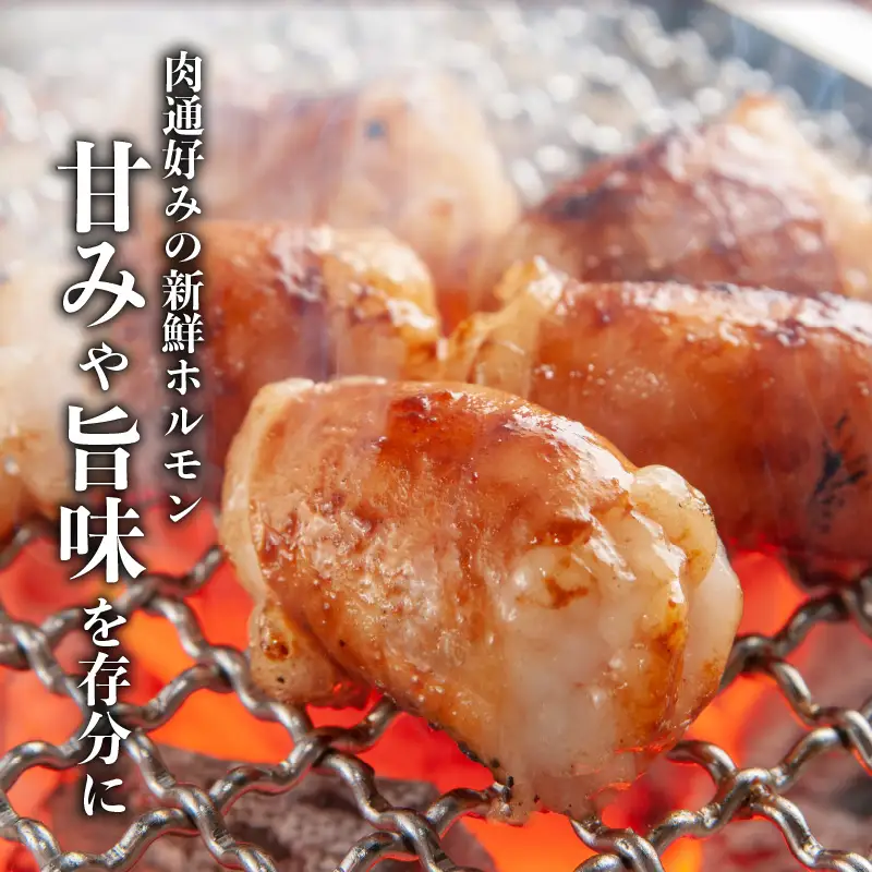 黒毛和牛 ！大人気の もつ （ ホルモン ）セット K002-006 肉 牛肉 冷凍