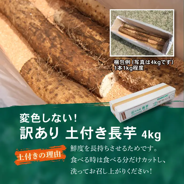 2026年12月上旬より発送！訳あり 土付き長芋（4kg）｜国産野菜 とろろご飯におすすめ！「マル庄」