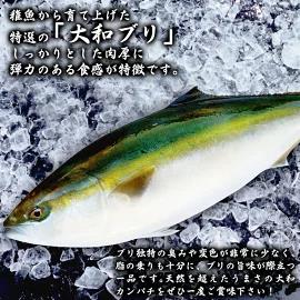 【大和ブリ】半身(ﾌｨﾚ)約1.0kg×1枚ｽｷﾝﾚｽﾛｲﾝ仕様 N072-YB327_1
