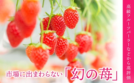 フルーツ 果物 いちご 高設栽培 冷凍 紅カムイ 2kg お菓子作り 希少 苺 イチゴ