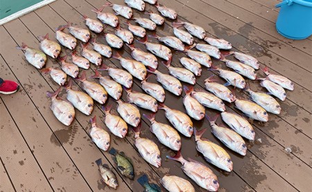 船釣り体験体験チケット瀬戸内海家島近郊遊漁船船釣り体験【5時間1名】