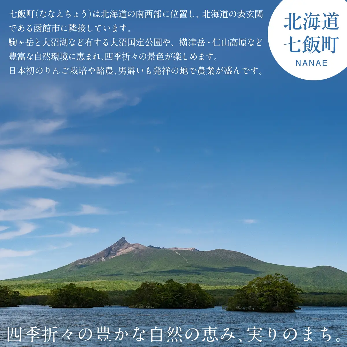 【先行予約 令和8年10月上旬発送】北海道産じゃがいも「男爵」8kg NAZ005