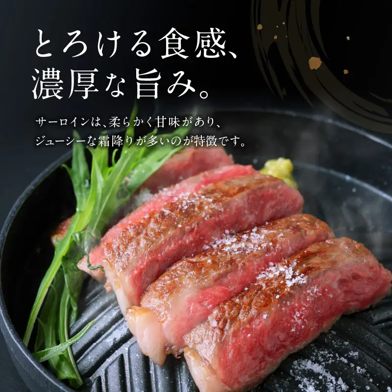 黒毛姫牛 サーロイン ステーキ 360g K328-001 肉 牛肉 冷凍
