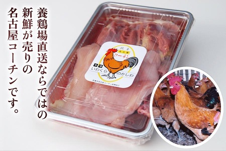 純系名古屋コーチン (半羽)【0871】