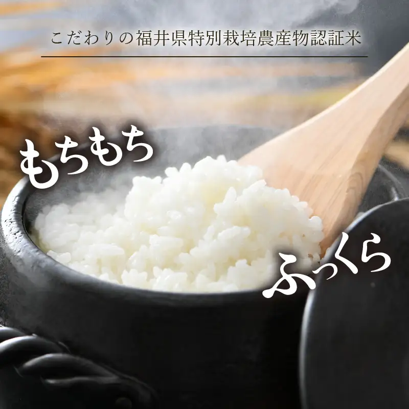 【先行予約】【令和8年産 新米】 ミルキークイーン 精米 5kg×2袋 （計10kg） 特別栽培米 農薬不使用 化学肥料不使用 ／ 高品質 鮮度抜群 福井県産 ブランド米 ※2026年10月上旬以降順次発送 [aw063-c003]