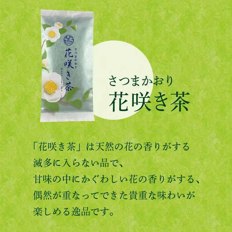 【7営業日以内に発送】さつまかおり 花咲き茶 K115-003 スピード配送 最短 すぐ届く お急ぎ