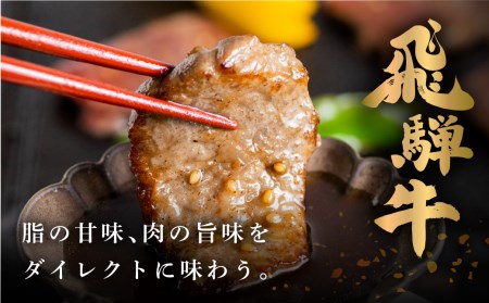 飛騨牛 霜降り／赤身 焼き肉 計1kg 飛騨牛 [EN023]