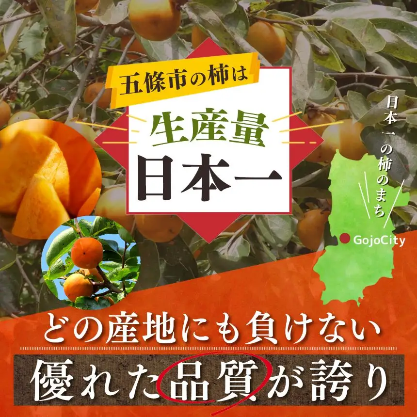 【 堀うち農園 】どっさり 約 7kg 訳あり 富有柿 | 人気 国産 産地直送 秋 旬 送料無料 大容量 特産品 家庭用 奈良県 五條市