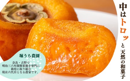 【堀うち農園】あんぽ柿  3個入り×5パック  | フルーツ 果物 くだもの 柿 かき カキ あんぽ柿 奈良県 五條市