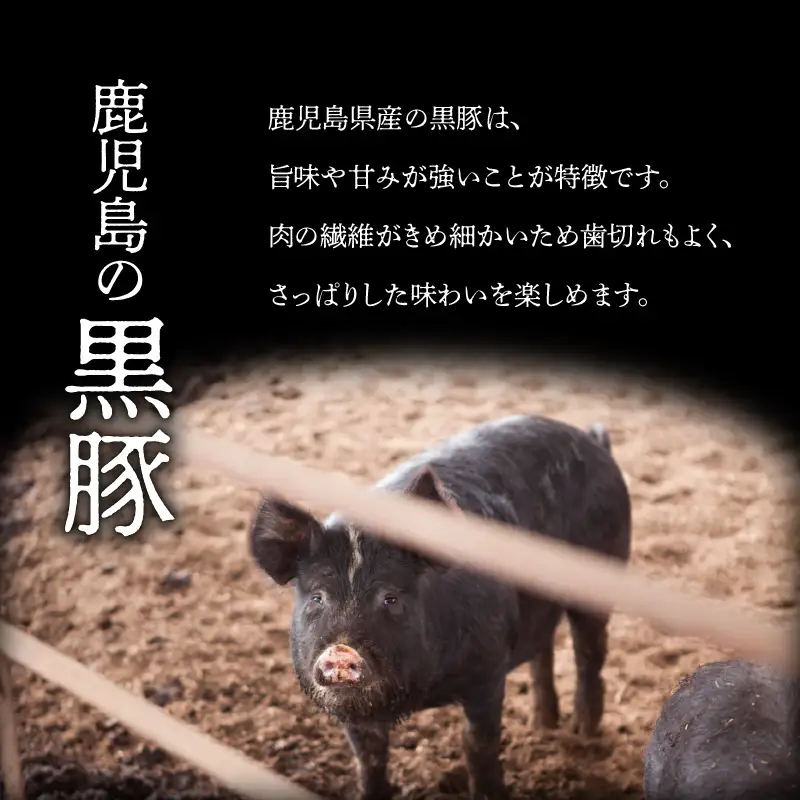 【 5営業日以内に発送 】 月揚庵 さつまあげ ・ 黒豚チャーシュー セット K003-002 肉 豚肉 スピード配送 最短 すぐ届く お急ぎ