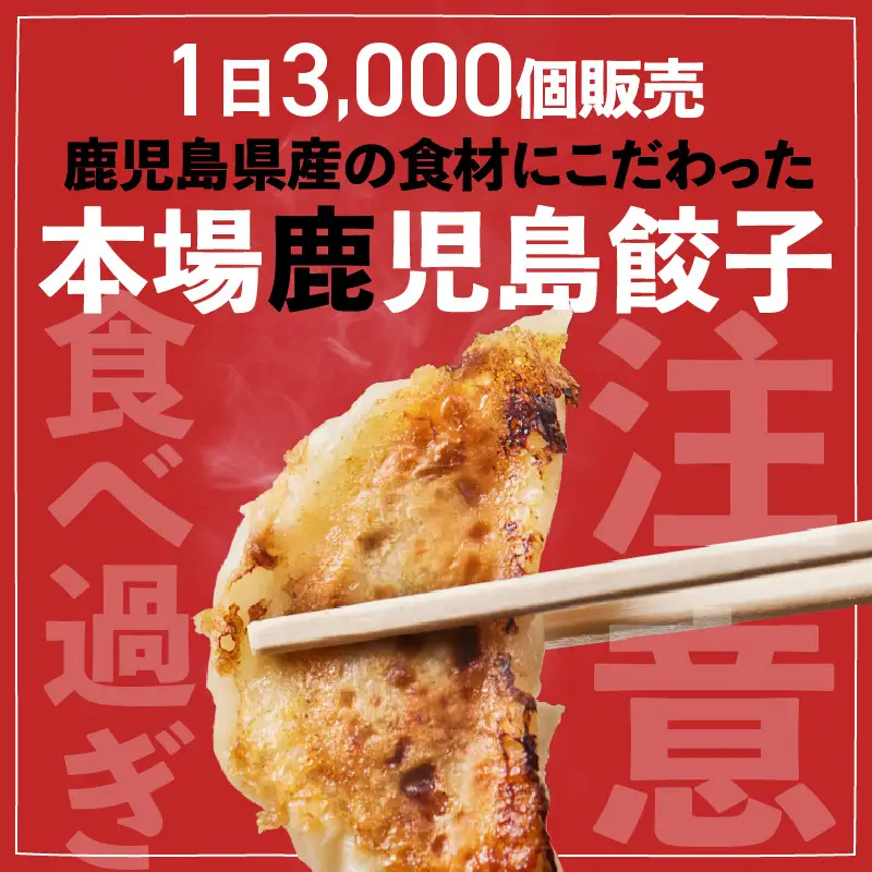 【5営業日以内に発送】鹿児島人気餃子店のお得な餃子食べ比べセット K118-001 肉 豚肉 惣菜 総菜 冷凍 スピード配送 最短 すぐ届く お急ぎ