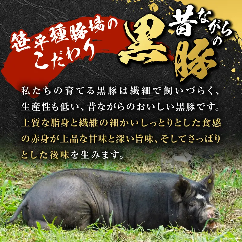 種豚場 がお届けする 鹿児島伝統 の 黒豚 黒胡椒 の効いた 黒豚ウインナー K125-002 黒豚 黒豚ウインナー ウインナー 黒胡椒 さっぱり 肉 ごはん 笹平種豚場 ふるさと納税 鹿児島 おすすめ ランキング プレゼント ギフト