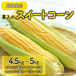 喜入のスイートコーン 4.5kg～5kg K141-003