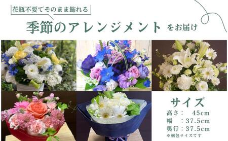 空間を彩る　季節のフラワーアレンジメント　Xサイズ×毎月2回×6ヶ月（全12回）