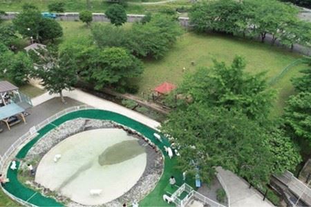 【寄七つ星ドッグラン＆カフェ】入園券２枚セット