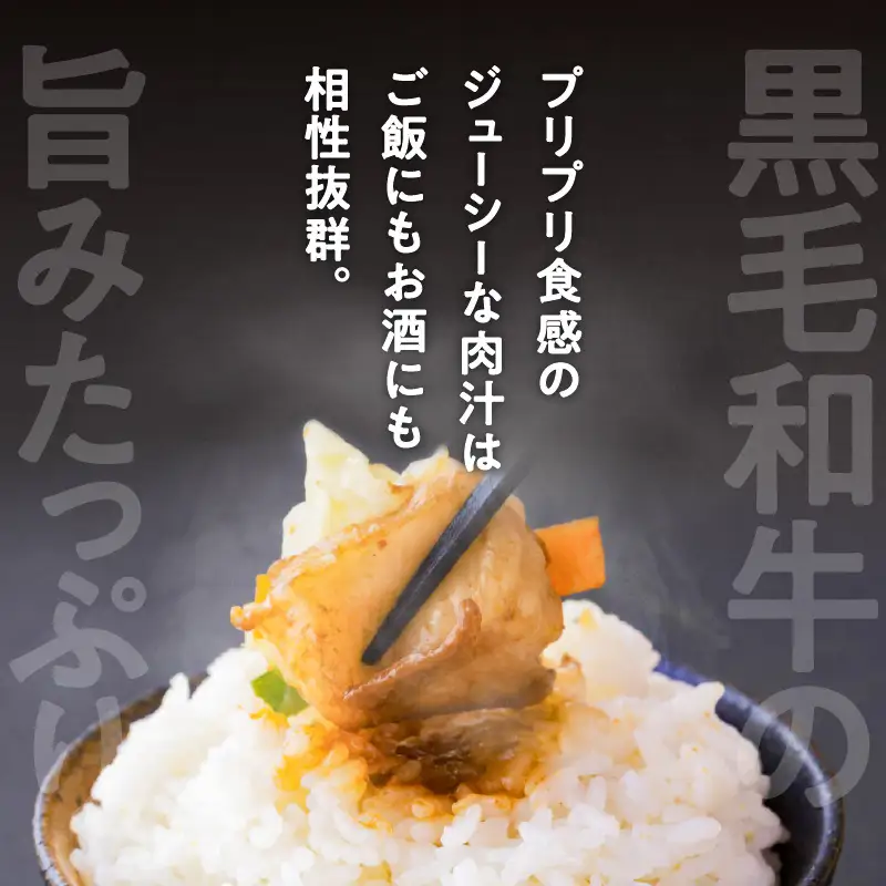 黒毛和牛 小腸 （ ホルモン ） 300g 入り × 2パック K130-002 肉 牛肉 冷凍