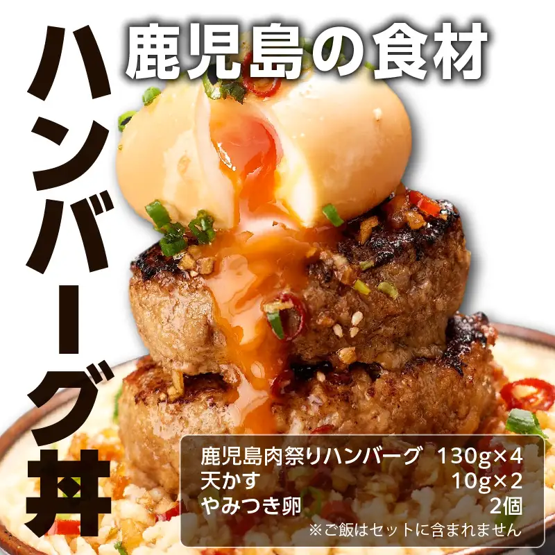 鹿児島肉祭り満喫セット K008-005 肉 豚肉 牛肉 惣菜 総菜 冷凍 ハンバーグ