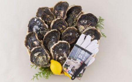 牡蠣 【産地直送】大粒 3kg 冷蔵 牡蠣 かき A163
