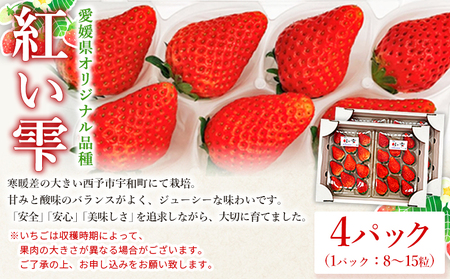 ＜谷口農園のいちご「紅い雫」約1kg(約250g×4パック)＆紅まどんなジュース720ml×2本セット＞イチゴ 果物 フルーツ 紅マドンナ ストレートジュース 果汁100％ フジ・アグリフーズ 愛媛県 西予市【冷蔵】『2025年4月迄に順次発送予定』OFA0004
