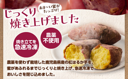 冷凍焼き芋（紅はるか）1.6kg K015-005 冷凍