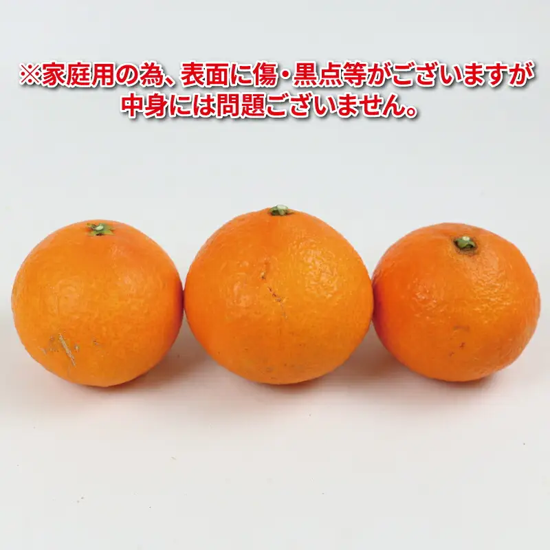 【紅まどんな と同品種】 まどんな 愛果28号 2.5kg 家庭用 つばさ農園 B010-048010