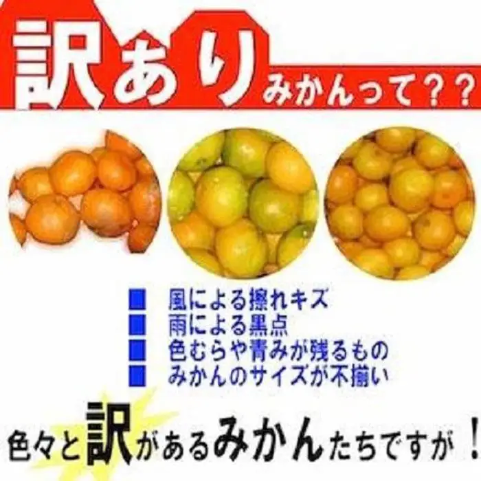 和歌山産 ［極早生］みかん 7 . 5kg ［訳あり］［サイズ不揃い・キズ等あり］