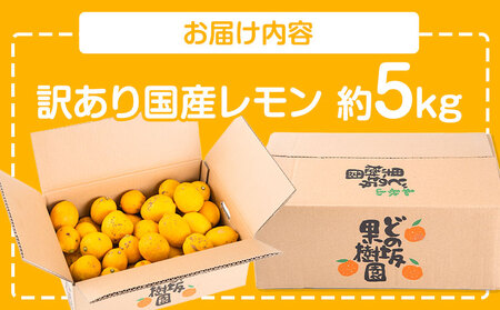 訳あり 国産レモン 約5kg (サイズ混合)  