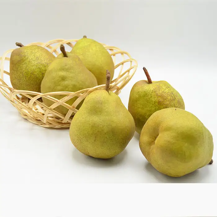 【特秀】山形の極上 ラフランス 特秀品 約5kg(12～16玉)[11月お届け]【令和8年産先行予約】 FS25-780
