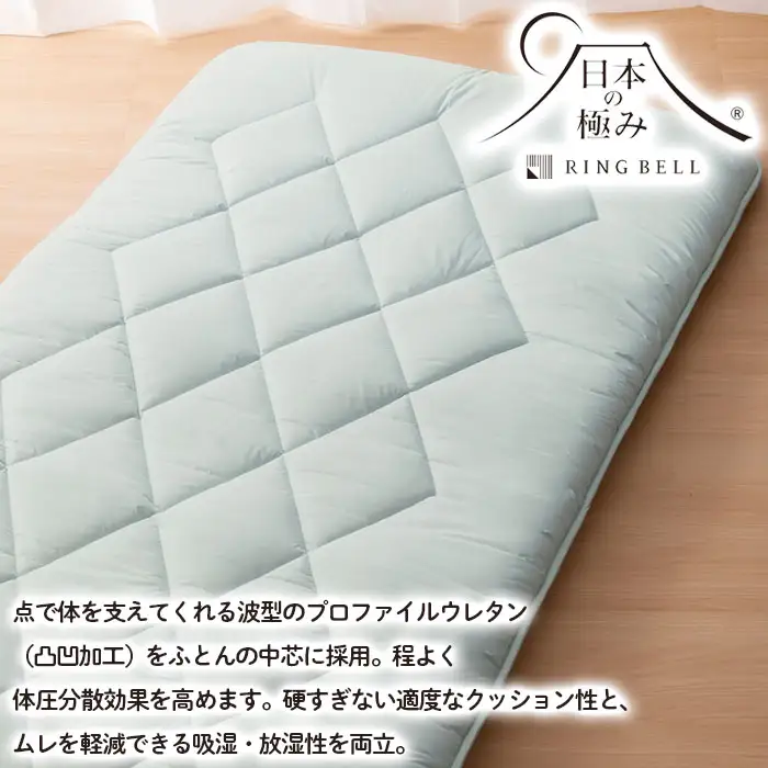 【日本の極み】プロファイル入り 羊毛混敷ふとん 2枚セット  FZ23-347