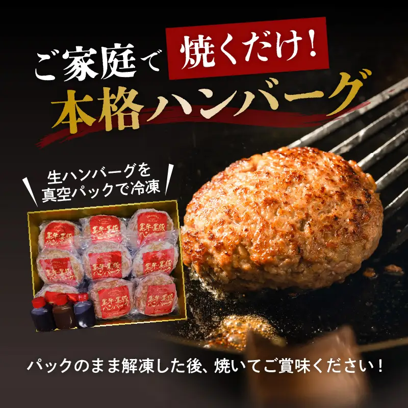 黒豚×黒牛ハンバーグ9個セット K098-005 肉 豚肉 牛肉 惣菜 総菜 冷凍