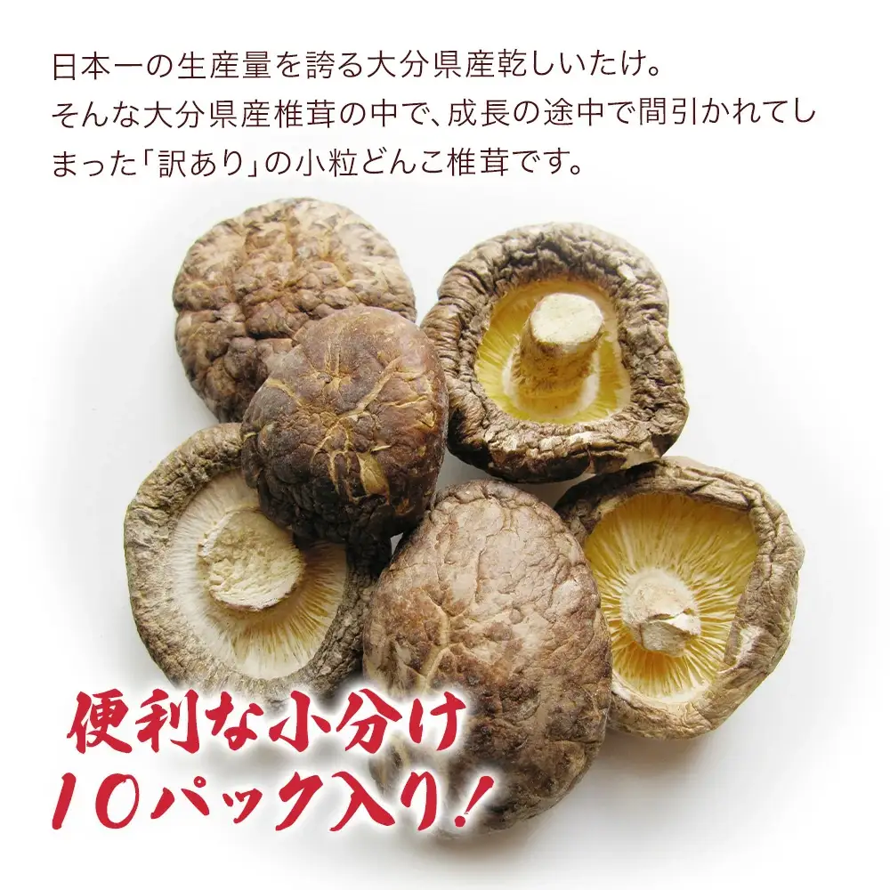 乾燥椎茸 訳あり 小粒どんこ 椎茸 50g×10パック | 津久見市