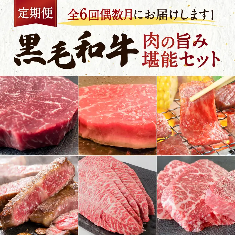 【全6回】黒毛和牛の肉の旨み堪能セット K098-T04 肉 牛肉 冷凍