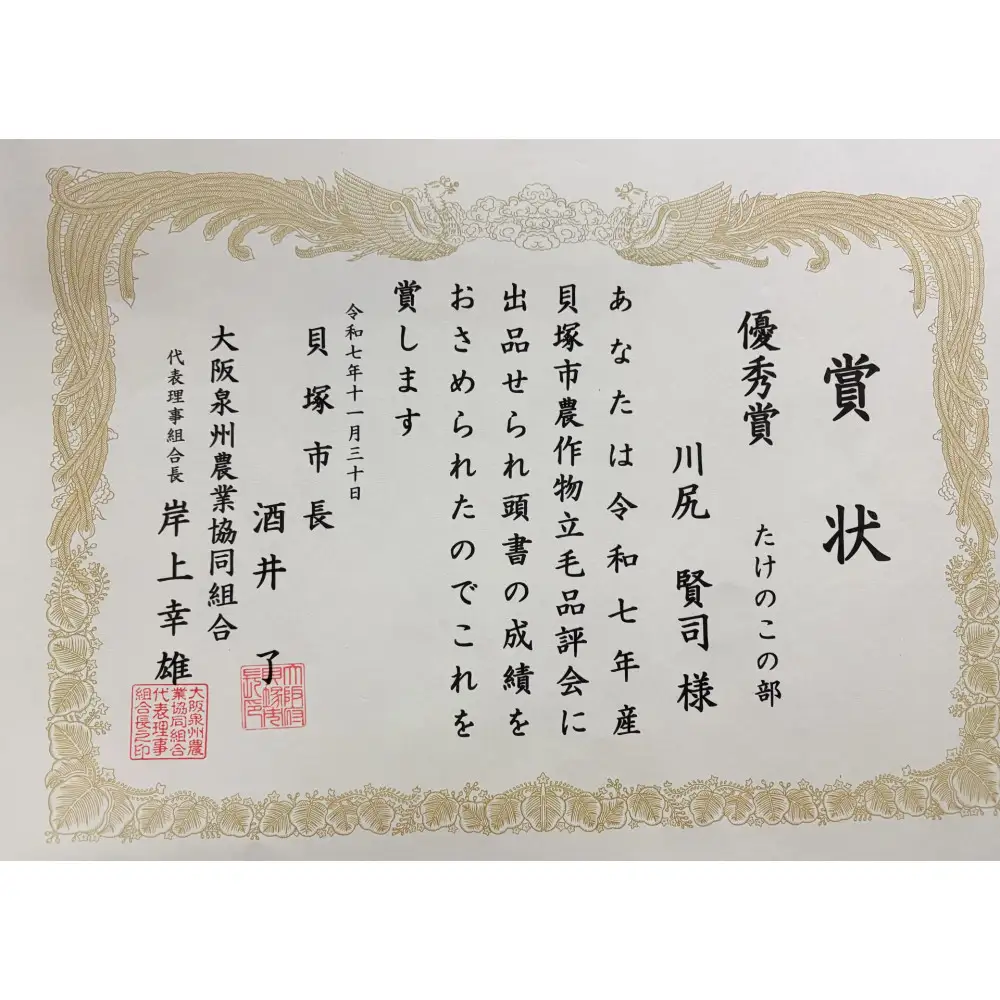 ＜2027年4月中旬より発送予定＞【生産者直送・貝塚市木積産】朝掘り竹の子水煮 １kg