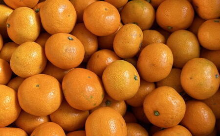 【先行予約】【産直・秀品】 和歌山 有田みかん 10kg（2Sサイズ）
