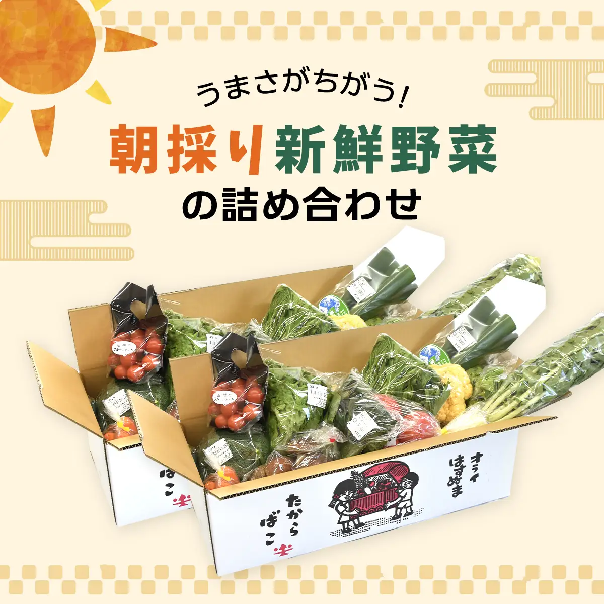 大地のたからばこセット（2箱） SMA001