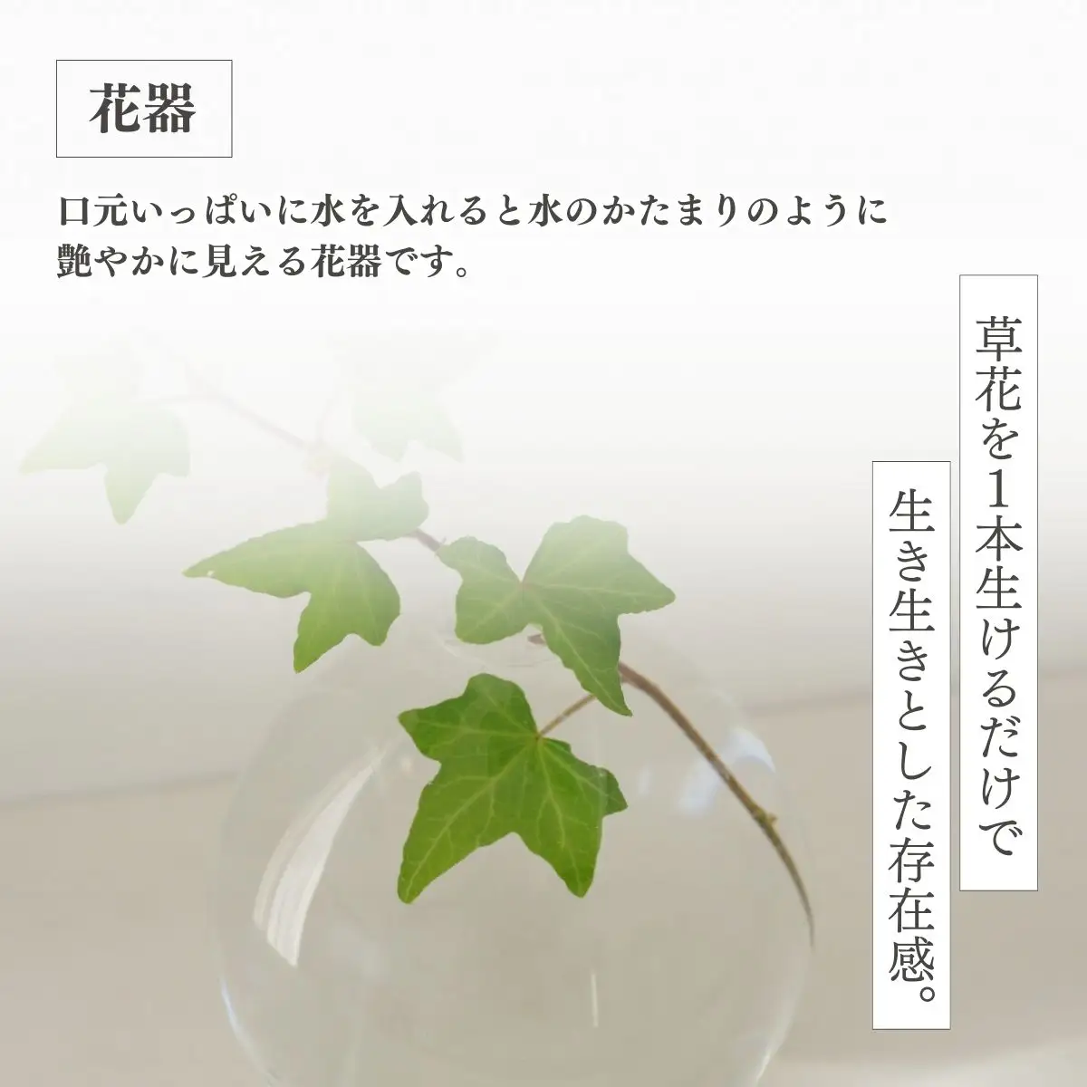 みずのうつわ　Lサイズ	 SMO003