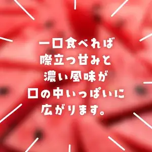 【先行予約】【2027年6月上旬から発送】レッドサンスイカ（約8kg～約9.8kg×1玉）【 ふるさと納税 人気 おすすめ ランキング レッドサン スイカ 西瓜 すいか 西瓜 果物 フルーツ 国産 産地直送 甘い 野菜 千葉県 山武市 送料無料 】SMAF001