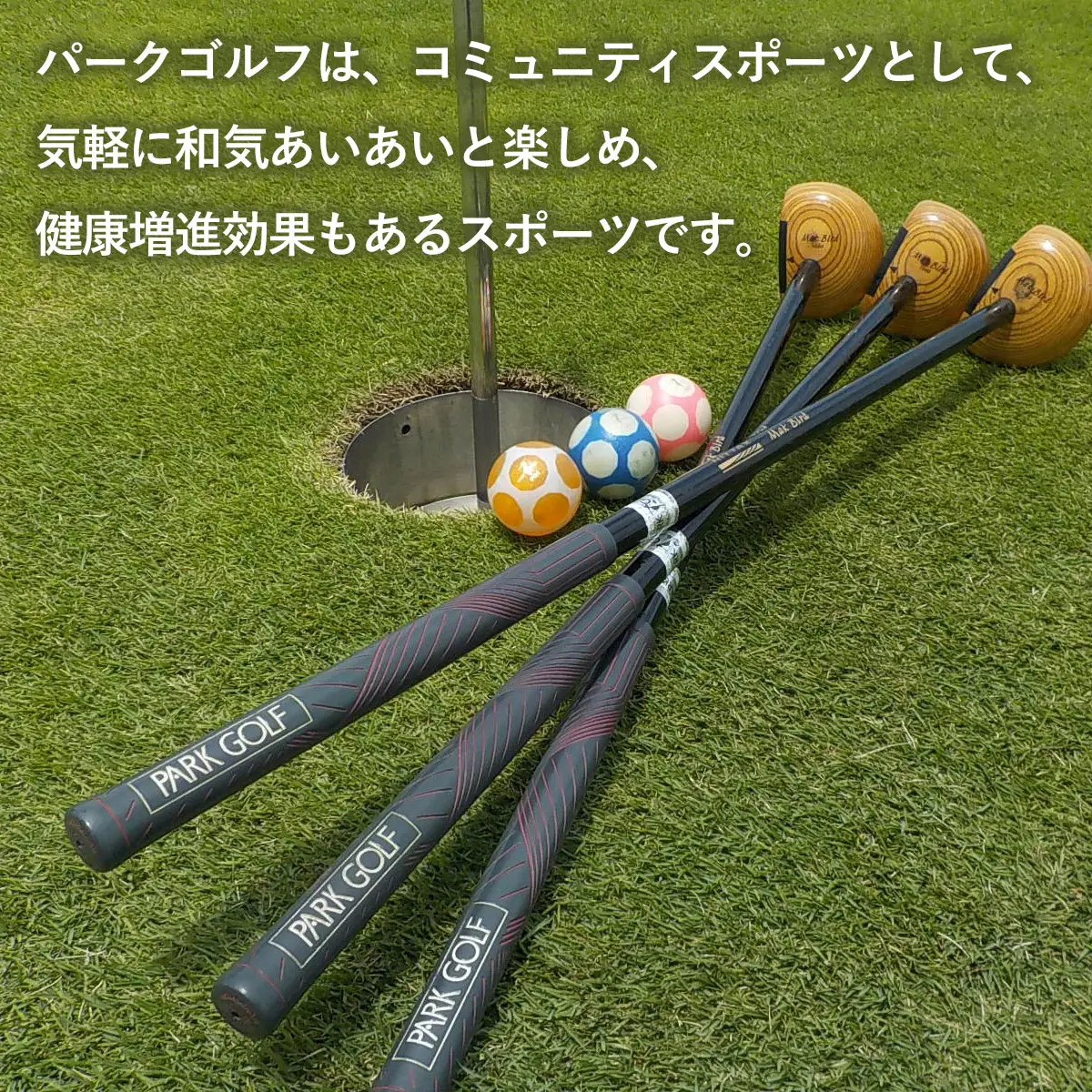 蓮沼海浜公園パークゴルフ場１日利用券／くつろぎの湯入浴券（各２名様分） SMM006