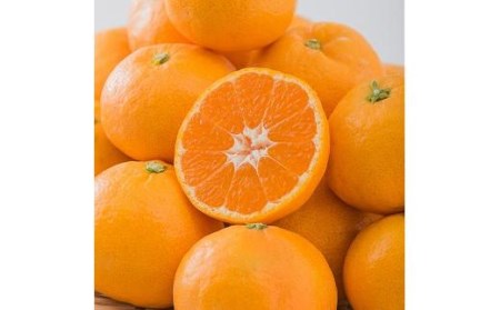 中島産 みかん S～L サイズ 5kg 温州 みかん【FA0141】
